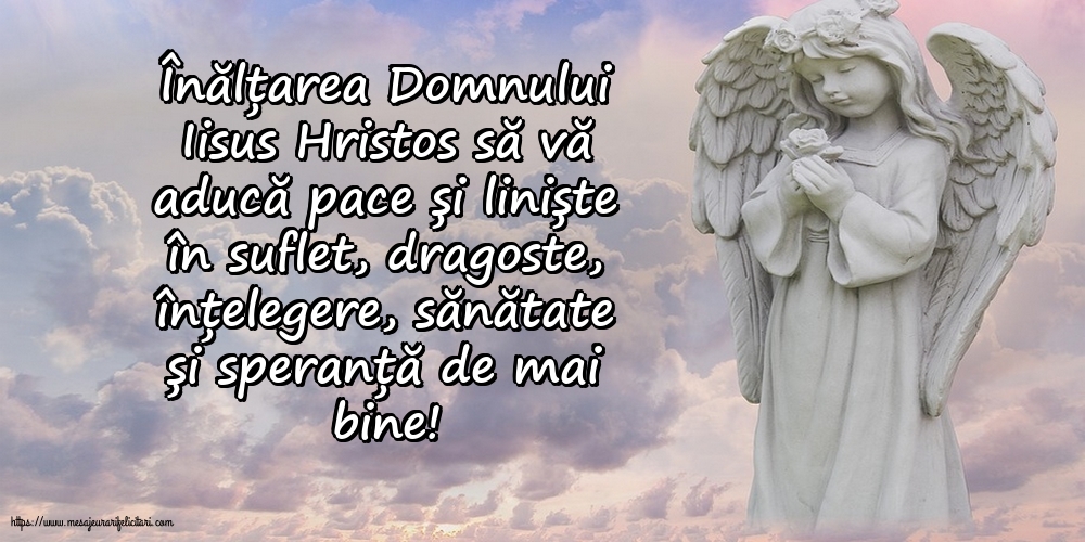 Înălțarea Domnului Înălțarea Domnului Iisus Hristos să vă aducă pace și liniște în suflet!