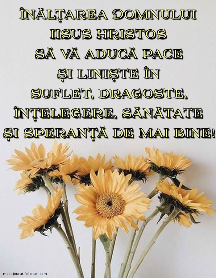 Înălțarea Domnului Înălțarea Domnului Iisus Hristos să vă aducă pace și liniște în suflet!