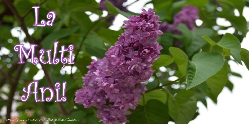 La multi ani La multi ani!