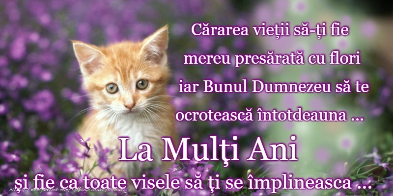 Felicitari de la multi ani - La mulți ani! - mesajeurarifelicitari.com