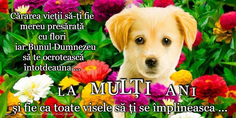 Felicitari de la multi ani - La mulți ani! - mesajeurarifelicitari.com