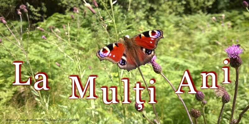 La multi ani La mulți ani!