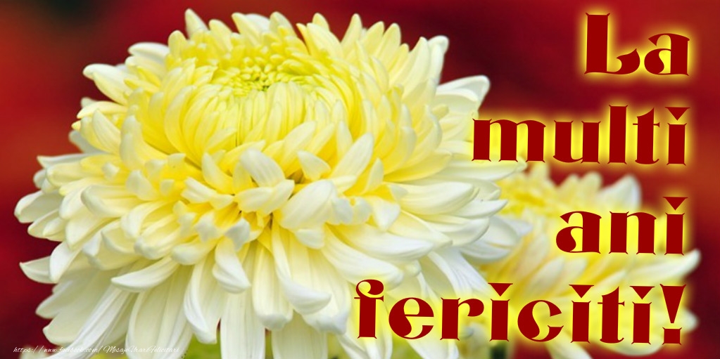 La multi ani La multi ani!