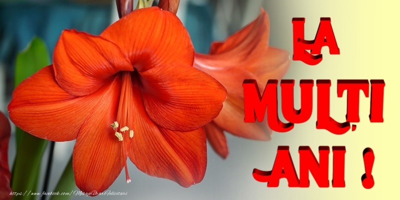 La multi ani La multi ani!