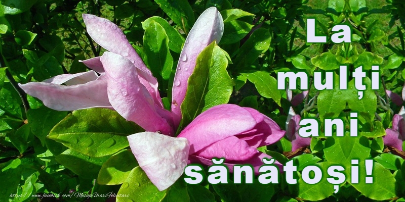 La multi ani La multi ani!