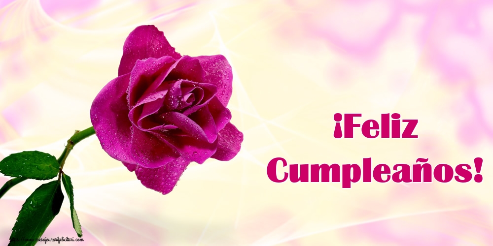 Felicitari de la multi ani in Spaniola - ¡Feliz Cumpleaños!