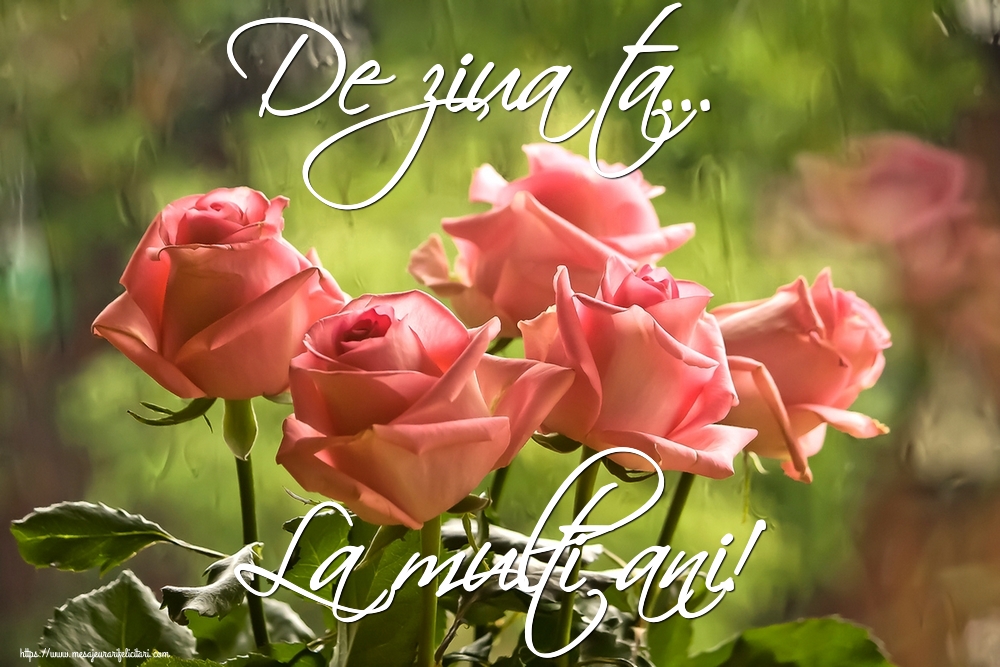 De ziua ta... La multi ani!