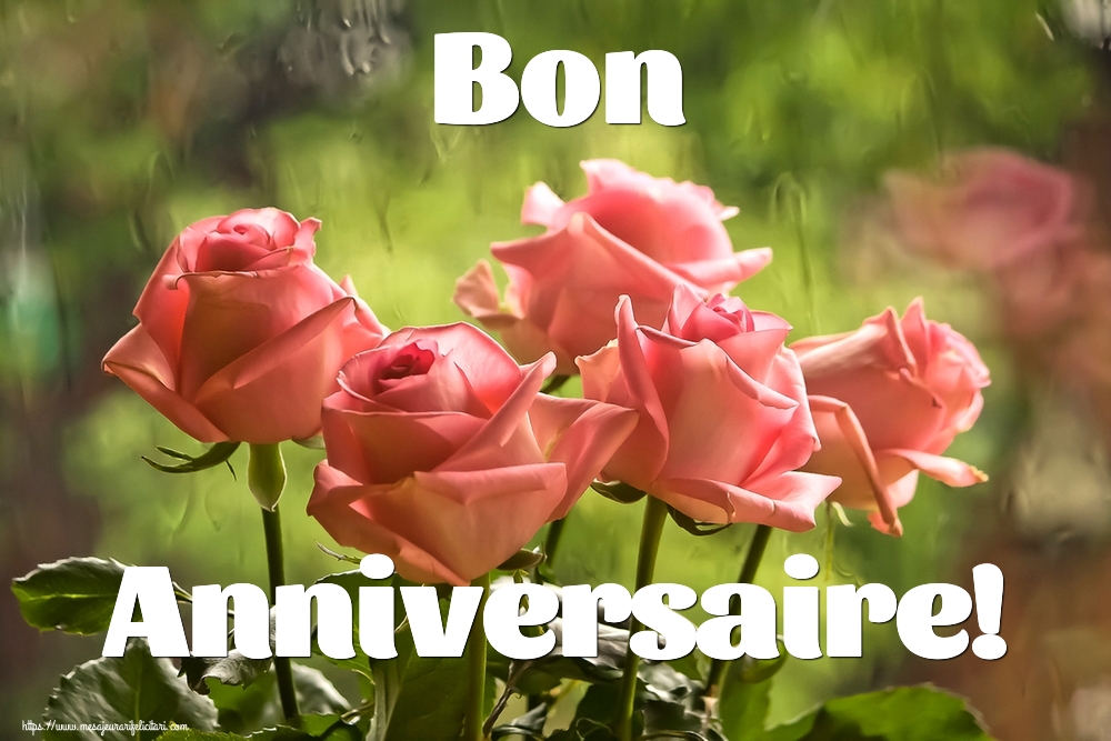 Felicitari de la multi ani in Franceza - Bon Anniversaire!