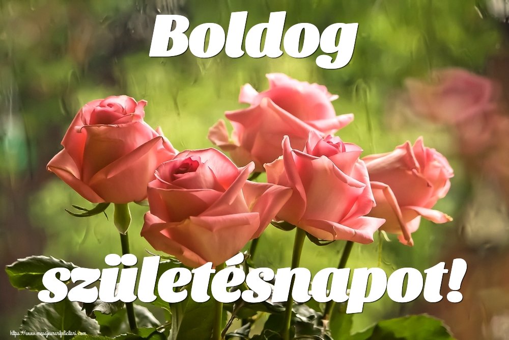 Felicitari de la multi ani in Maghiara - Boldog születésnapot!