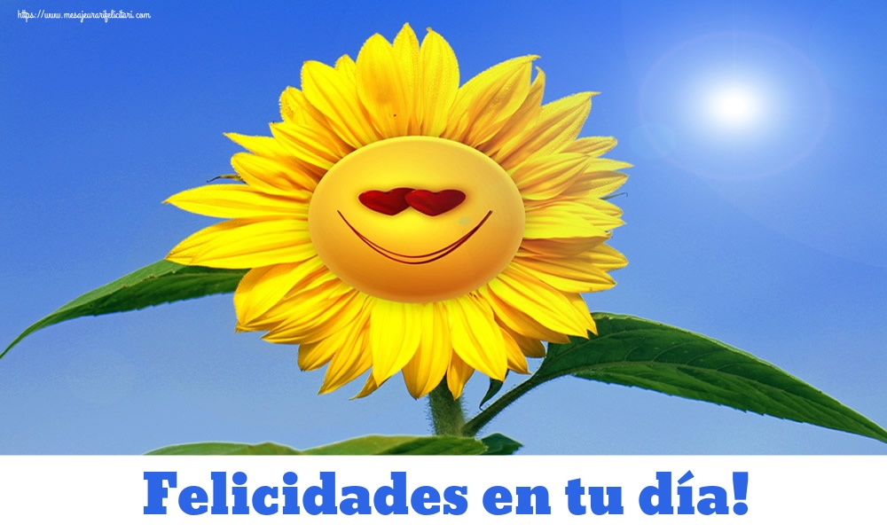 Felicitari de la multi ani - Felicidades en tu día! - mesajeurarifelicitari.com