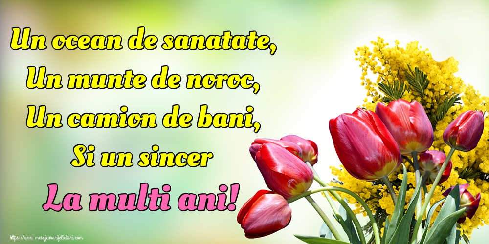 Felicitari de la multi ani - Un ocean de sanatate, Un munte de noroc, Un camion de bani, Si un sincer La multi ani! - mesajeurarifelicitari.com