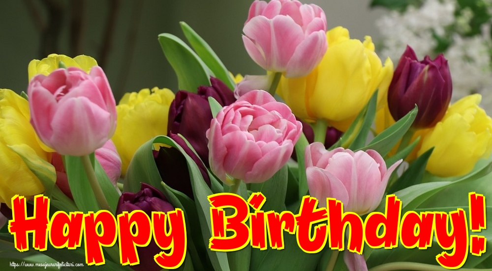 Felicitari de la multi ani - Happy Birthday! - mesajeurarifelicitari.com