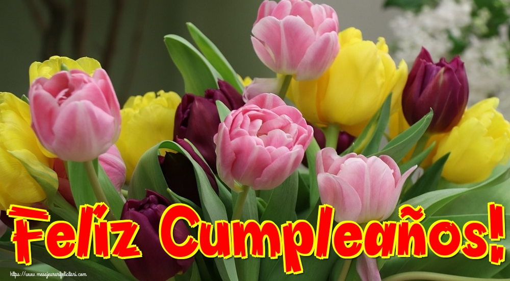 Felicitari de la multi ani - Feliz Cumpleaños! - mesajeurarifelicitari.com
