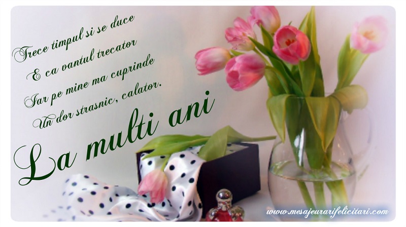 Trece timpul si se duce E ca vantul trecator Iar pe mine ma cuprinde Un dor strasnic, calator. La multi ani!