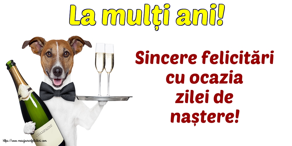 La multi ani La mulți ani! Sincere felicitări cu ocazia zilei de naștere!