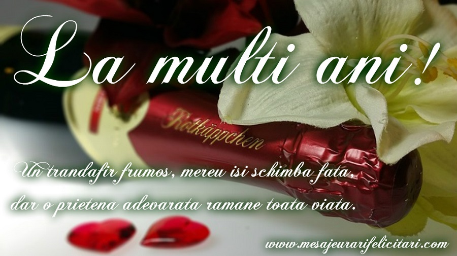 Un trandafir frumos, mereu isi schimba fata,  dar o prietena adevarata ramane toata viata.