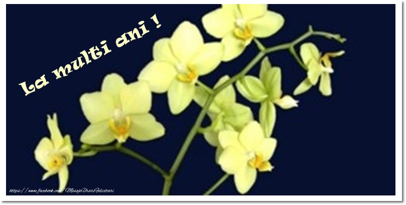 La multi ani!