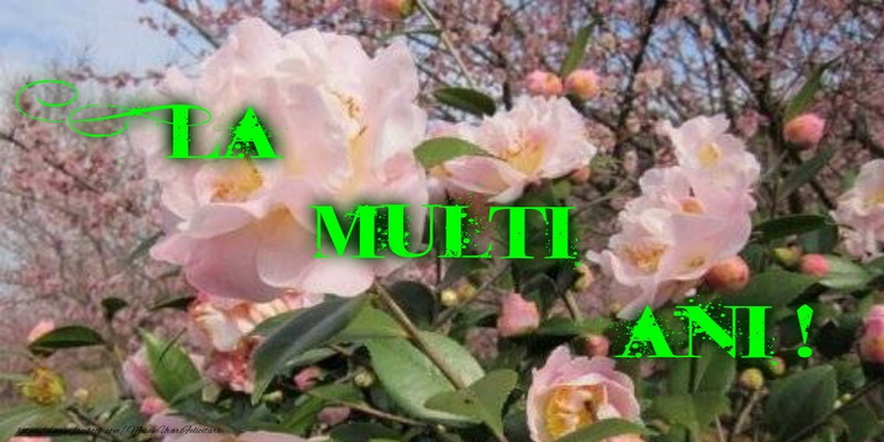 Felicitari de la multi ani - La multi ani! - mesajeurarifelicitari.com
