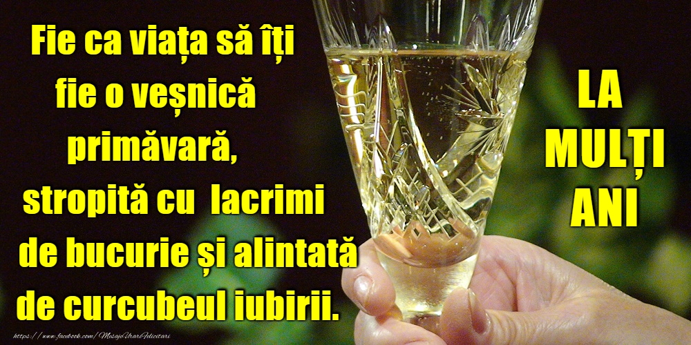 La multi ani La mulți ani!