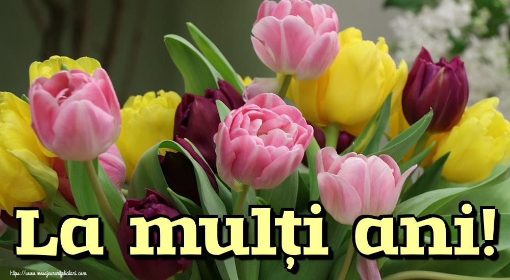 Felicitari de la multi ani - La mulți ani! - mesajeurarifelicitari.com