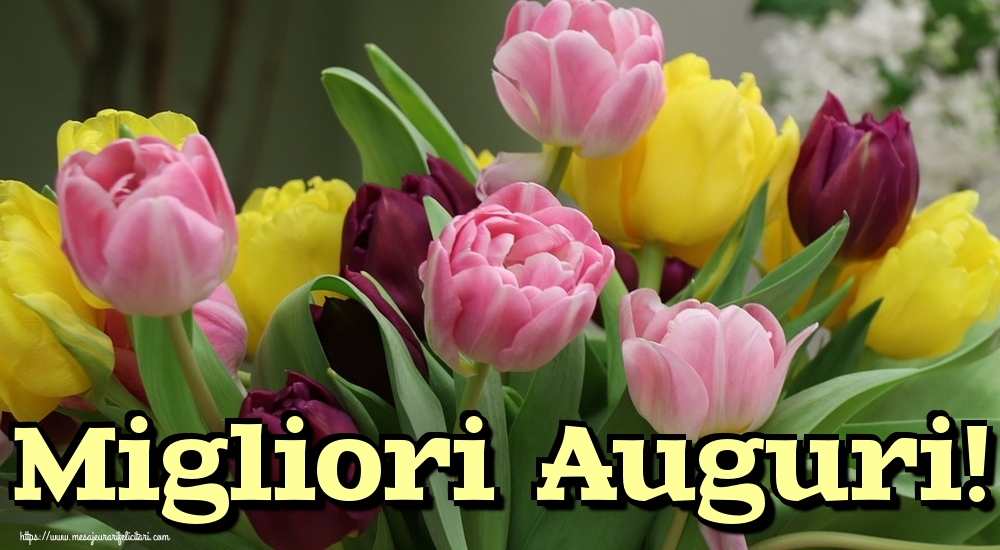 Felicitari de la multi ani in Italiana - Migliori Auguri!