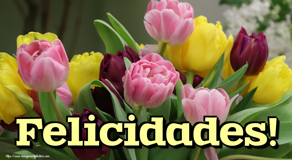 Felicitari de la multi ani - Felicidades! - mesajeurarifelicitari.com