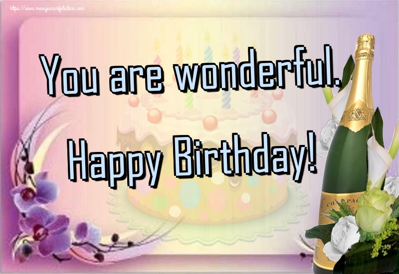 La multi ani You are wonderful. Happy Birthday!