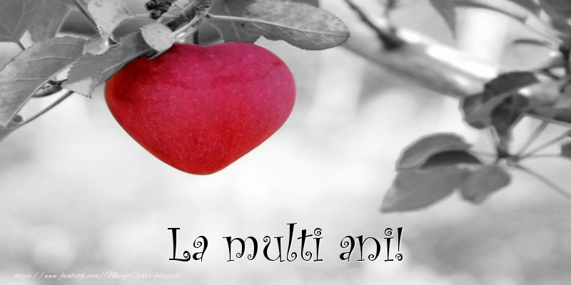Felicitari de la multi ani - La multi ani! - mesajeurarifelicitari.com
