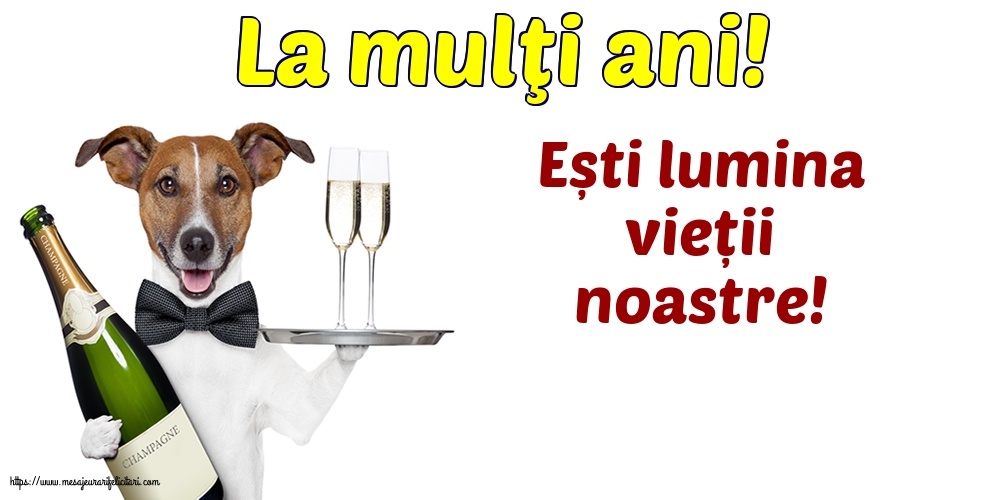 La multi ani La mulţi ani!