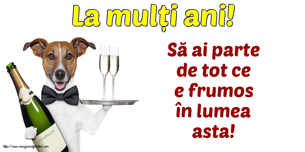 La mulți ani! Să ai parte de tot ce e frumos în lumea asta!