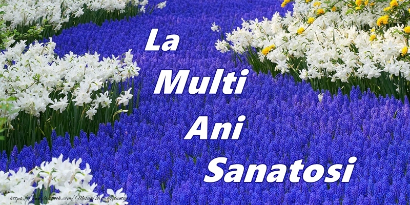 La multi ani Sanatosi
