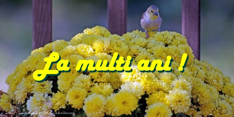 La multi ani La multi ani!