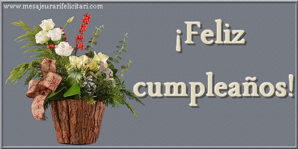Felicitari de la multi ani in Spaniola - ¡Feliz cumpleaños!