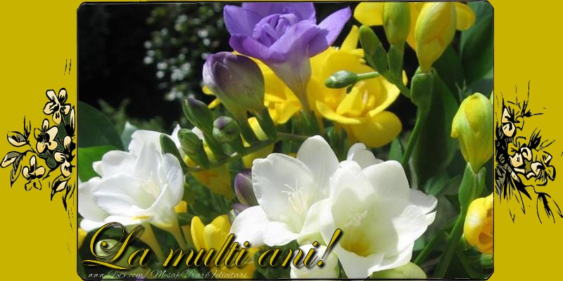 Felicitari de la multi ani - La multi ani! - mesajeurarifelicitari.com