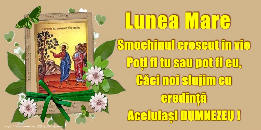 Lunea Mare Lunea Mare