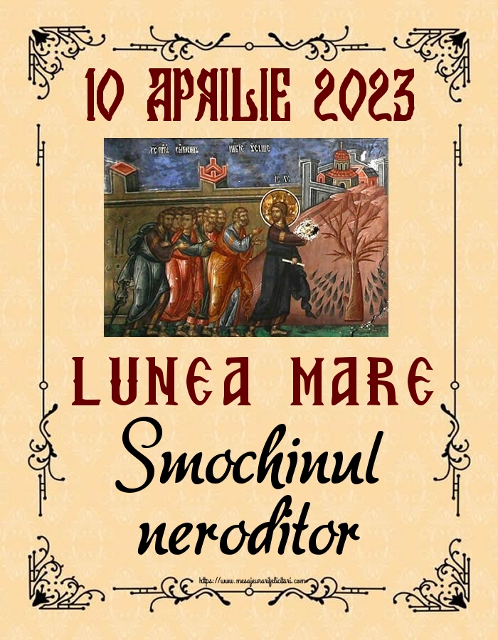 Lunea Mare 10 APRILIE 2023 LUNEA MARE Smochinul neroditor