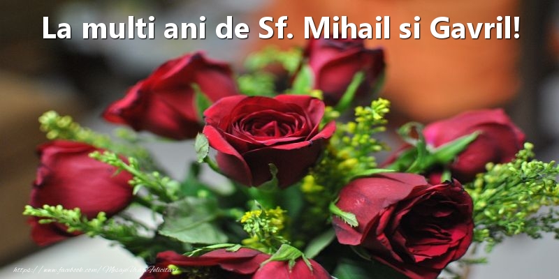 La multi ani de Sf. Mihail si Gavril!