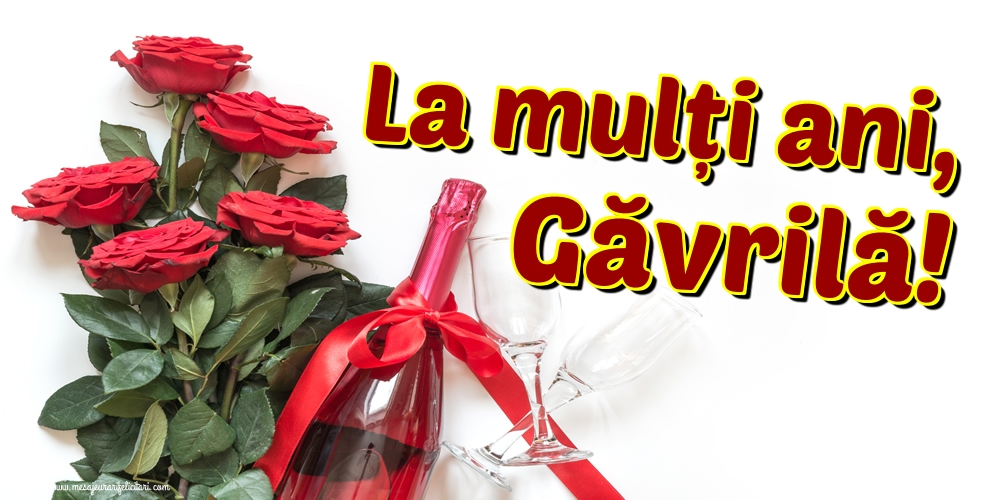 La mulți ani, Găvrilă!