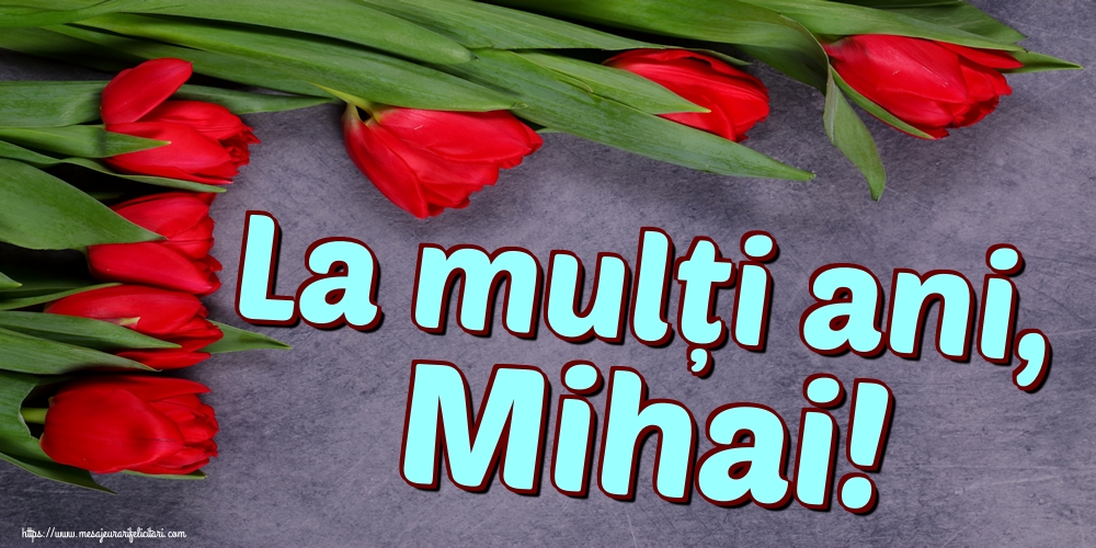 La mulți ani, Mihai!