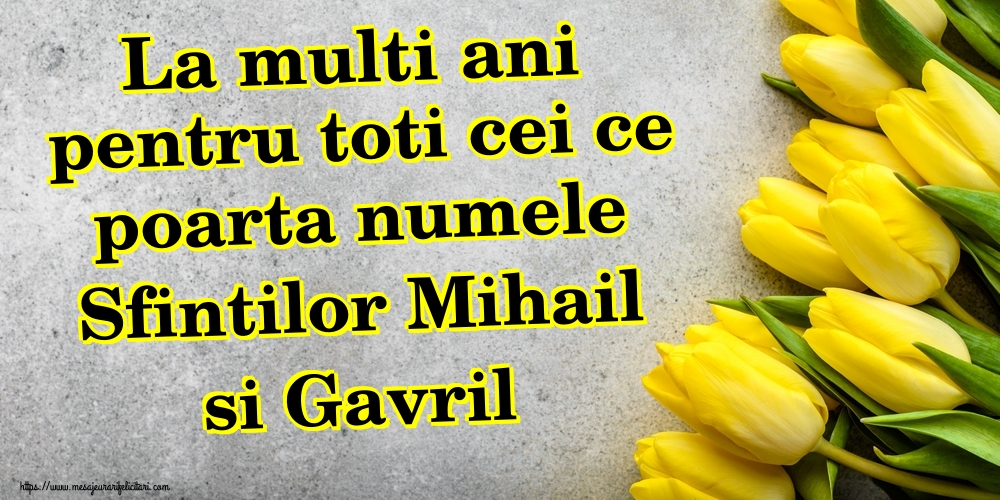 La multi ani pentru toti cei ce poarta numele Sfintilor Mihail si Gavril