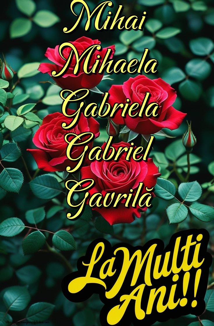 Mihai Mihaela Gabriela Gabriel Gavrilă