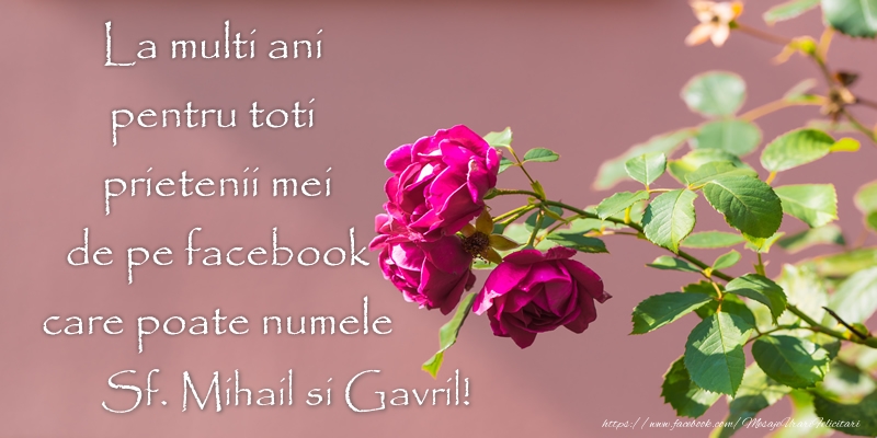 Sfintii Mihail si Gavriil La multi ani pentru toti prietenii mei de pe facebook care poate numele Sf. Mihail si Gavril!