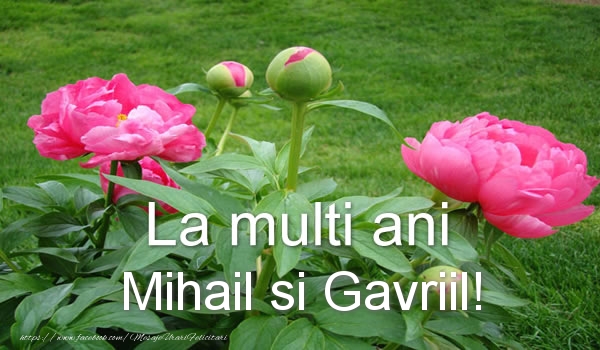 La multi ani Mihail si Gavriil!