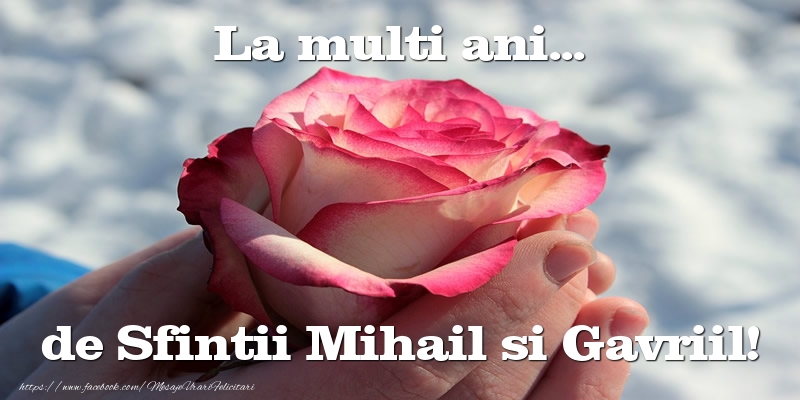 Felicitari de Sfintii Mihail si Gavril cu trandafiri - La multi ani... de Sfintii Mihail si Gavriil!