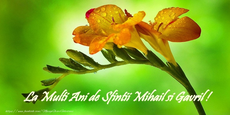 La multi ani de Sfintii Mihail si Gavril!