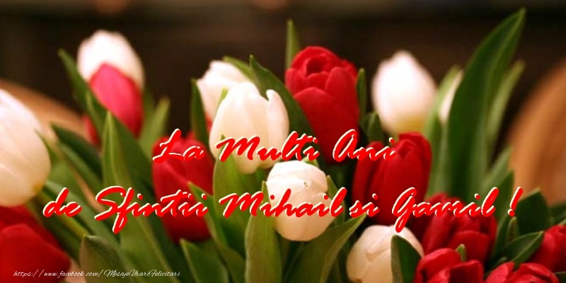 La multi ani de Sfintii Mihail si Gavril!