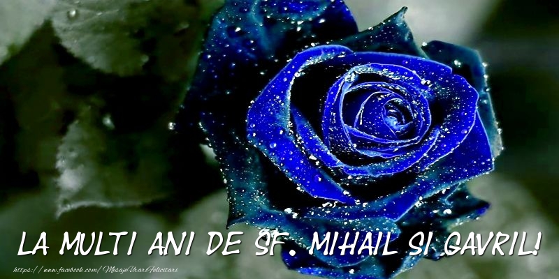 La multi ani de Sf. Mihail si Gavril!