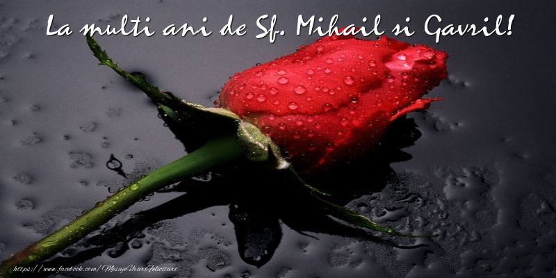 Felicitari de Sfintii Mihail si Gavril cu trandafiri - La multi ani de Sf. Mihail si Gavril!