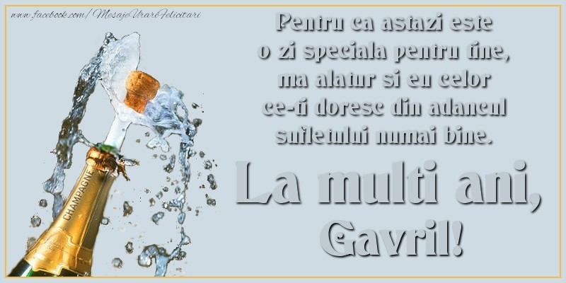 Pentru ca astazi este o zi speciala pentru tine, ma alatur si eu celor ce-ti doresc din adancul sufletului numai bine. La multi an, Gavril
