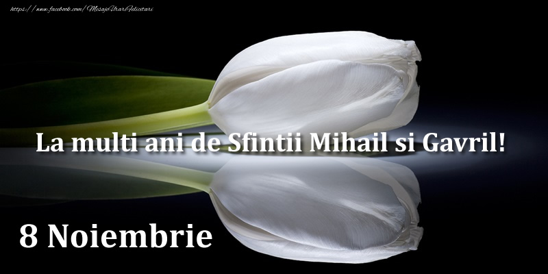 La multi ani de Sfintii Mihail si Gavril! 8 Noiembrie
